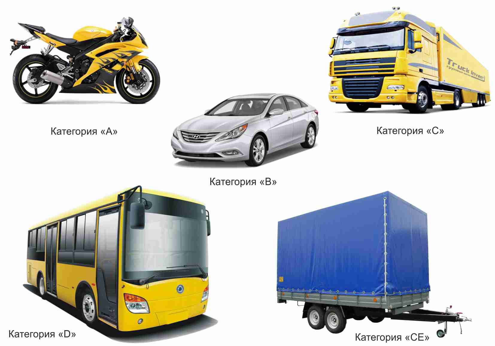 Какие бывают категории? Категории транспортных средств