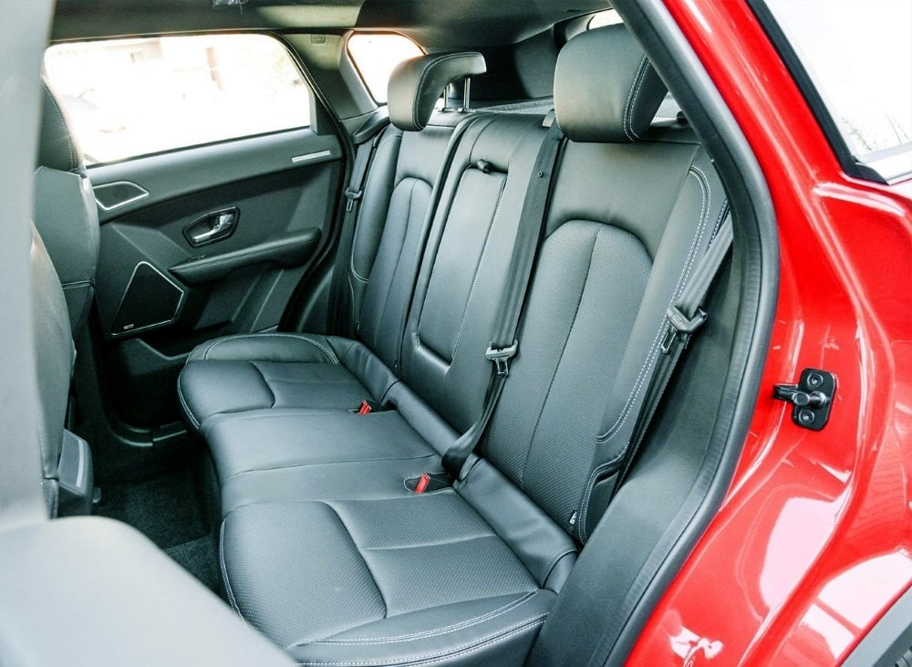 Ремни безопасности Безопасность Лендвинд